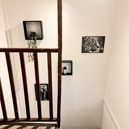 New Triplex Casanna Vieille Apartment